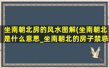 坐南朝北房的风水图解(坐南朝北是什么意思_坐南朝北的房子禁忌 🐘 )